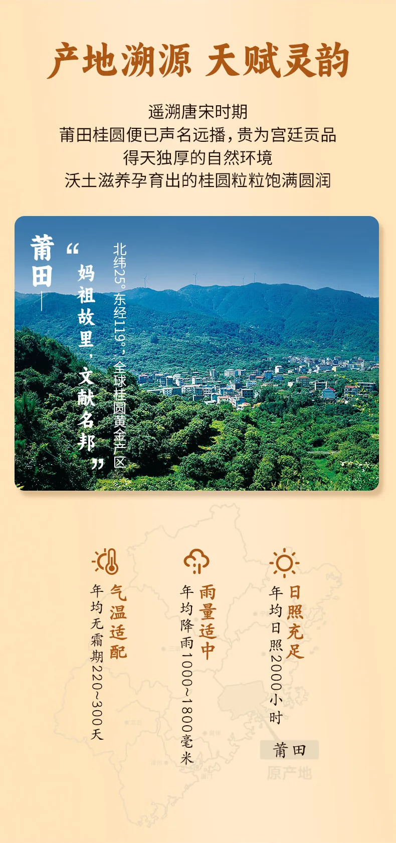 【中国直邮，时效7-15天】古小圆 特级桂圆干莆田特产大桂圆 古法龙眼干（果径29mm特大果）250g*2罐 详情图 2