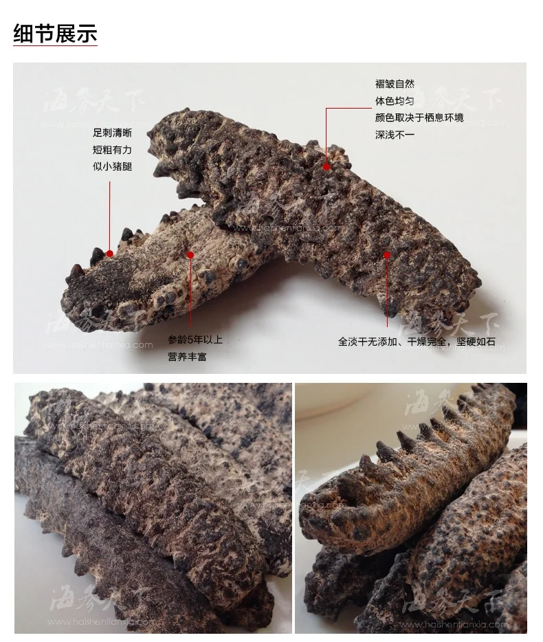 海参天下 淡干南美黑仔刺参 6种规格可选 详情图 2
