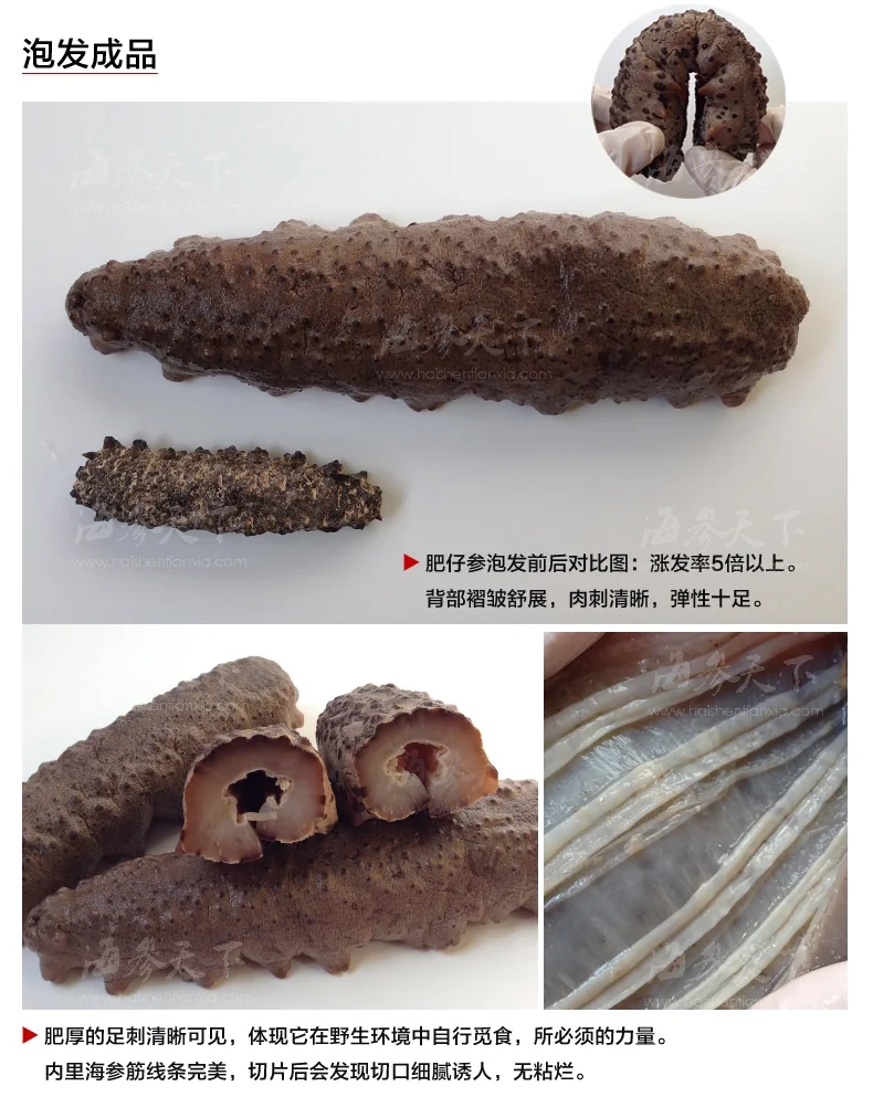 海参天下 淡干南美黑仔刺参 6种规格可选 详情图 3
