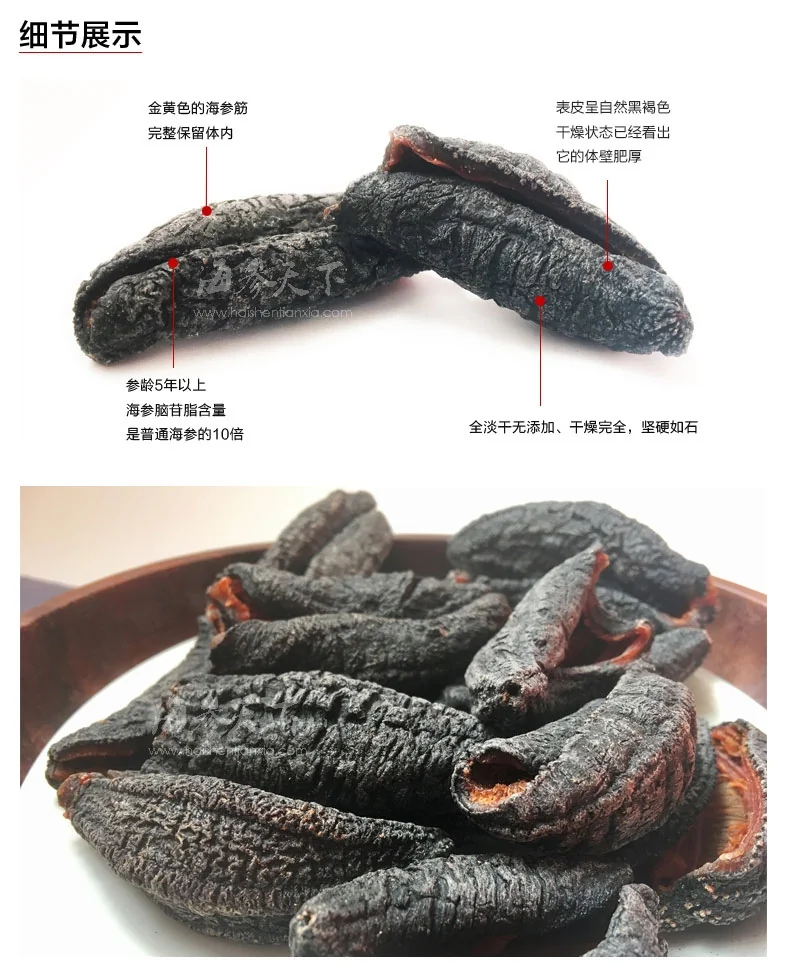 Haishentianxia Wild Canada Atlantic Sea Cucumber 2lb Pack CN001 detail image 2