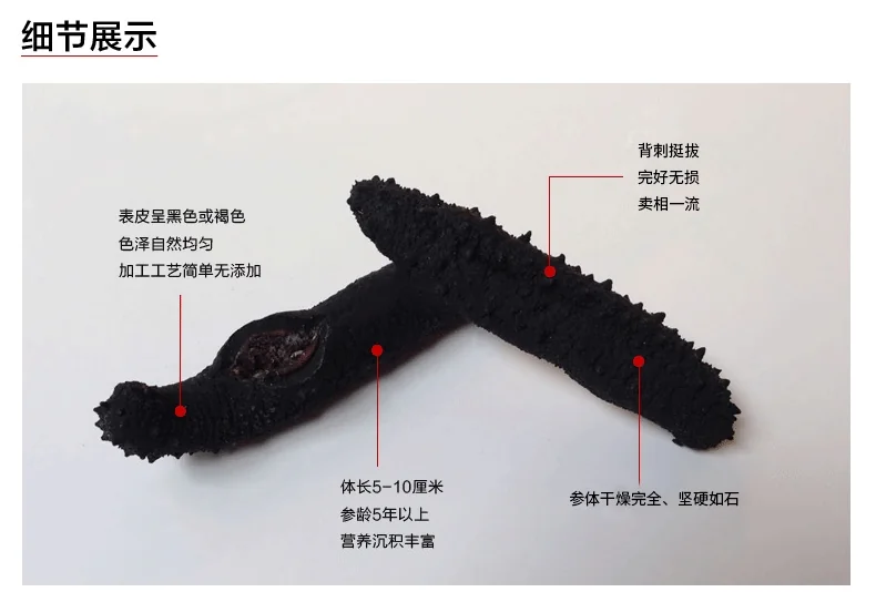 Haishentianxia Wild Black Spike Dried Atlantic Sea cucumber EU001 detail image 2