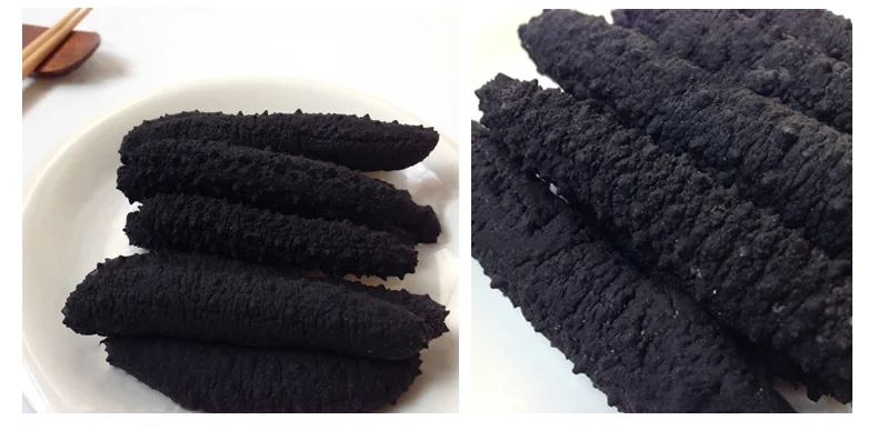 Haishentianxia Wild Black Spike Dried Atlantic Sea cucumber EU001 detail image 3