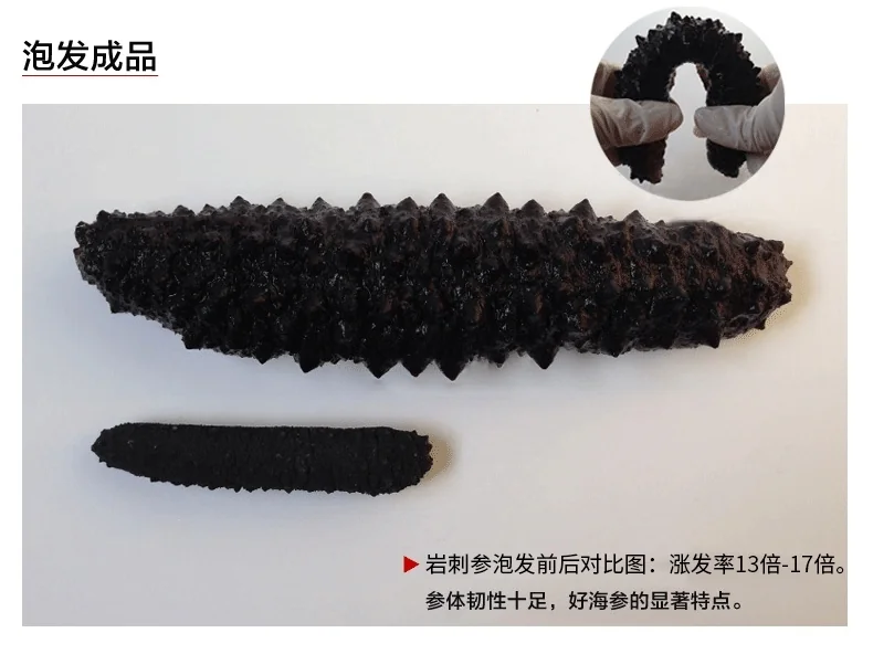Haishentianxia Wild Black Spike Dried Atlantic Sea cucumber EU001 detail image 4