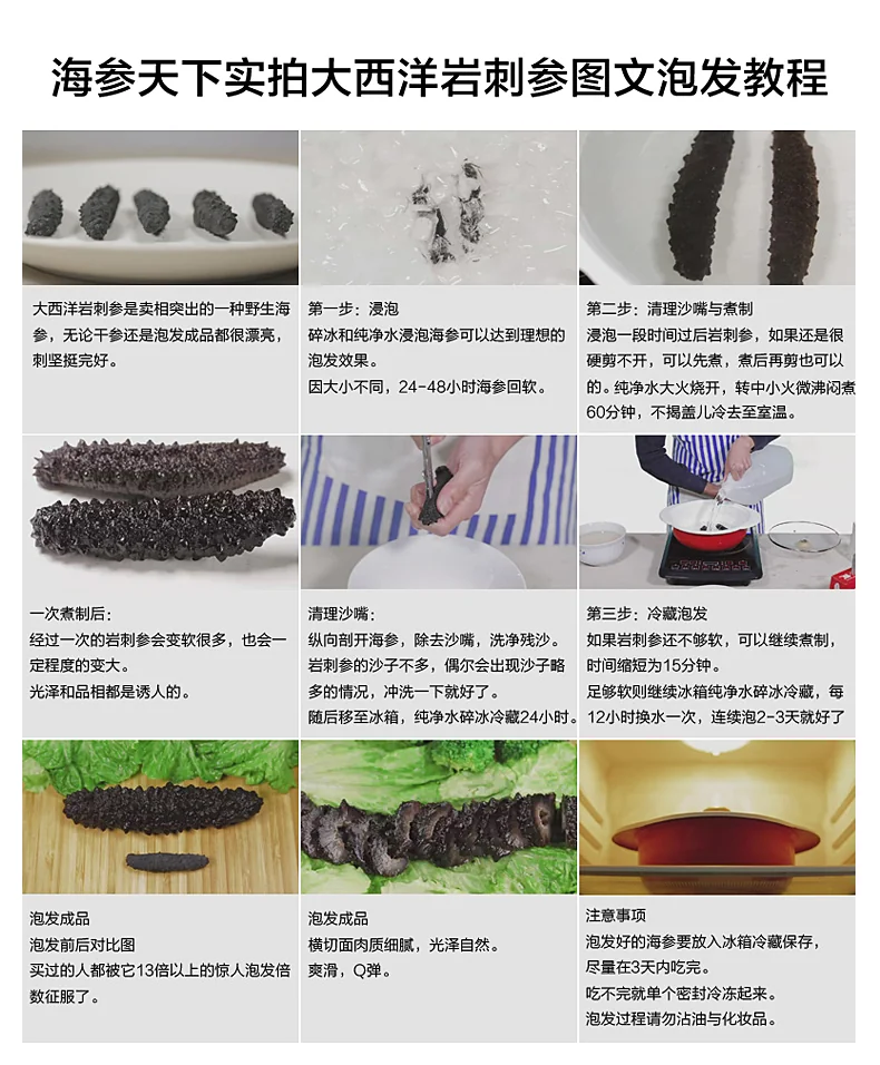Haishentianxia Wild Black Spike Dried Atlantic Sea cucumber EU001 detail image 6