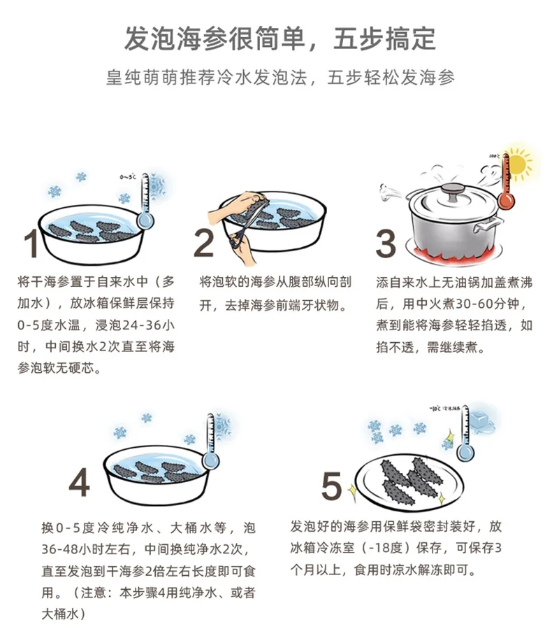 海参天下 淡干中美洲黑玉参 两种规格 详情图 6