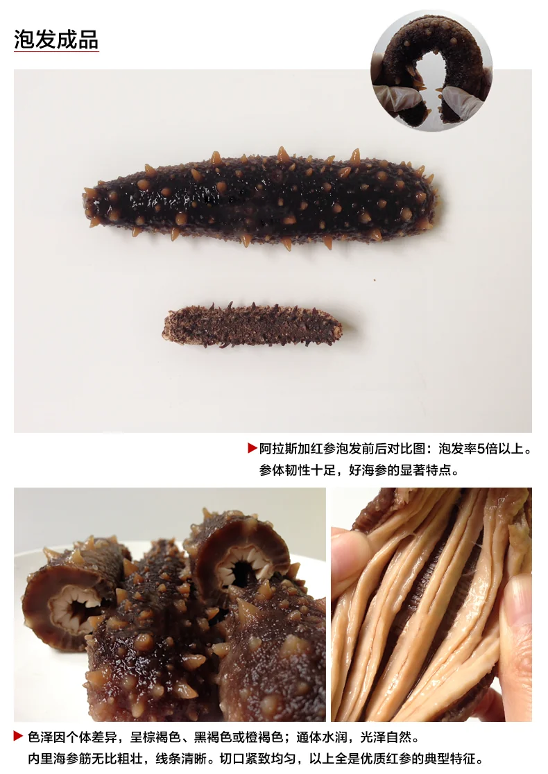 Haishentianxia Wild Alaska Red Dried Seacucumber 1LB RD001L detail image 3