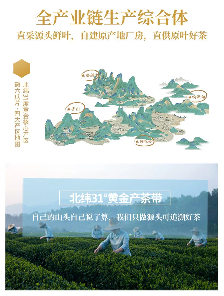 China direct shipping, time limit of 10-15 days Hui Liu green tea submerged incense Lu'an Gua Pian 100g 2024 new tea special one before the rain canned tea detail image 14