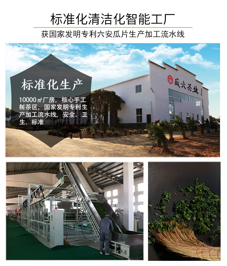 China direct shipping, time limit of 10-15 days Hui Liu green tea submerged incense Lu'an Gua Pian 100g 2024 new tea special one before the rain canned tea detail image 16