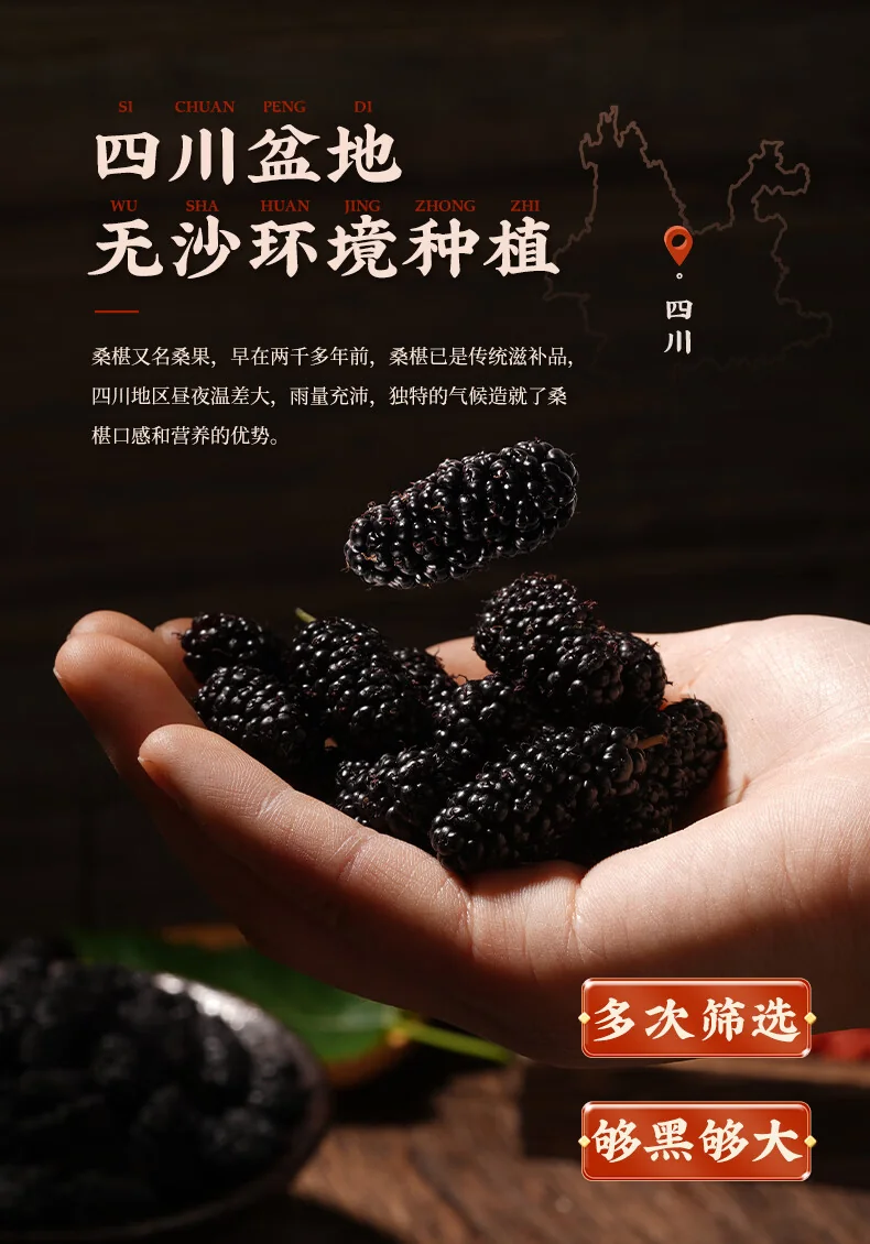 【中国直邮，时效5-12天】胡庆余堂桑椹干黑桑葚果干 泡茶泡酒 免洗无沙 250g*2瓶 共500g detail image 9