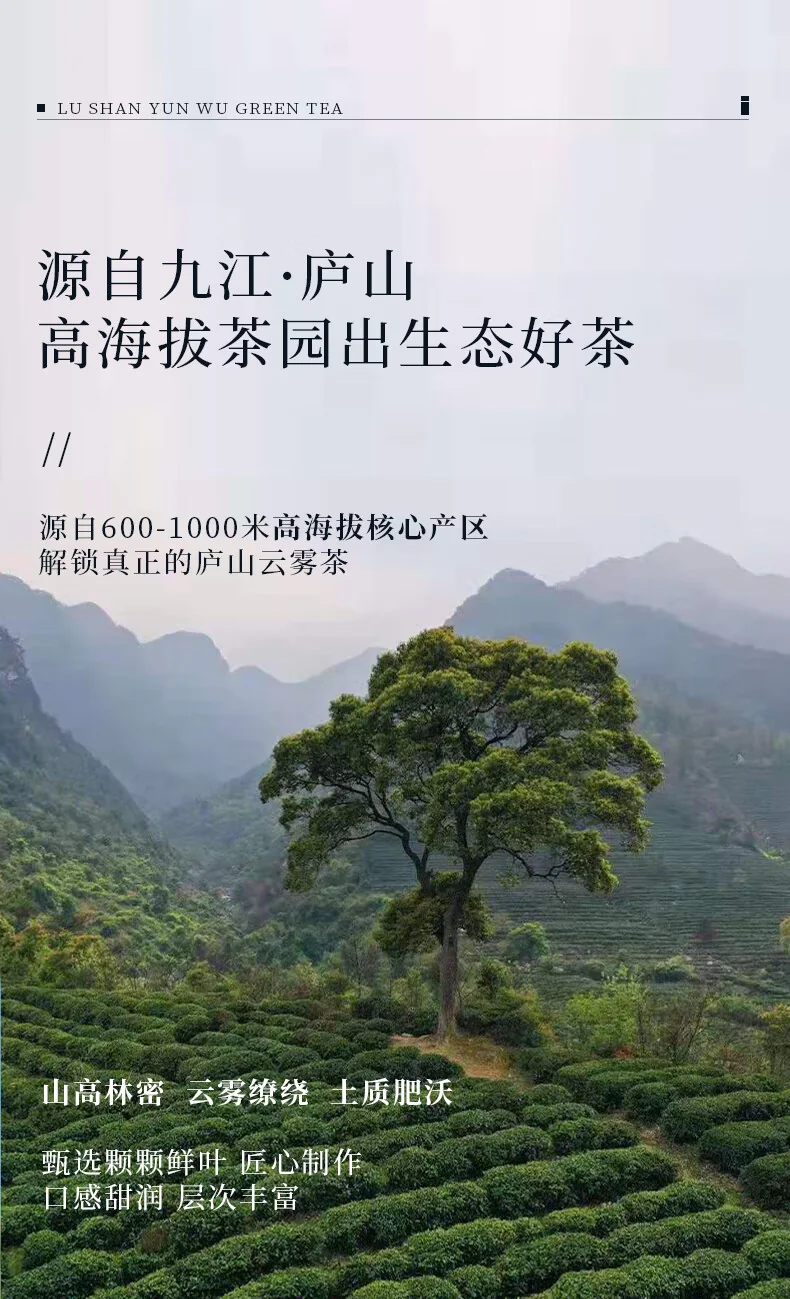 【中国直邮，时效7-15天】庐山 明前特级2026年新茶 绿茶 庐山云雾茶 高山绿茶茶叶铁罐装50g detail image 2
