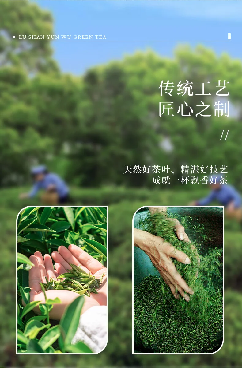 【中国直邮，时效7-15天】庐山 明前特级2026年新茶 绿茶 庐山云雾茶 高山绿茶茶叶铁罐装50g detail image 3