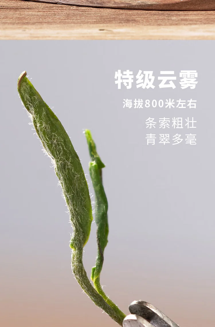 【中国直邮，时效7-15天】庐山 明前特级2026年新茶 绿茶 庐山云雾茶 九江高山绿茶茶叶铁罐装60g 详情图 7