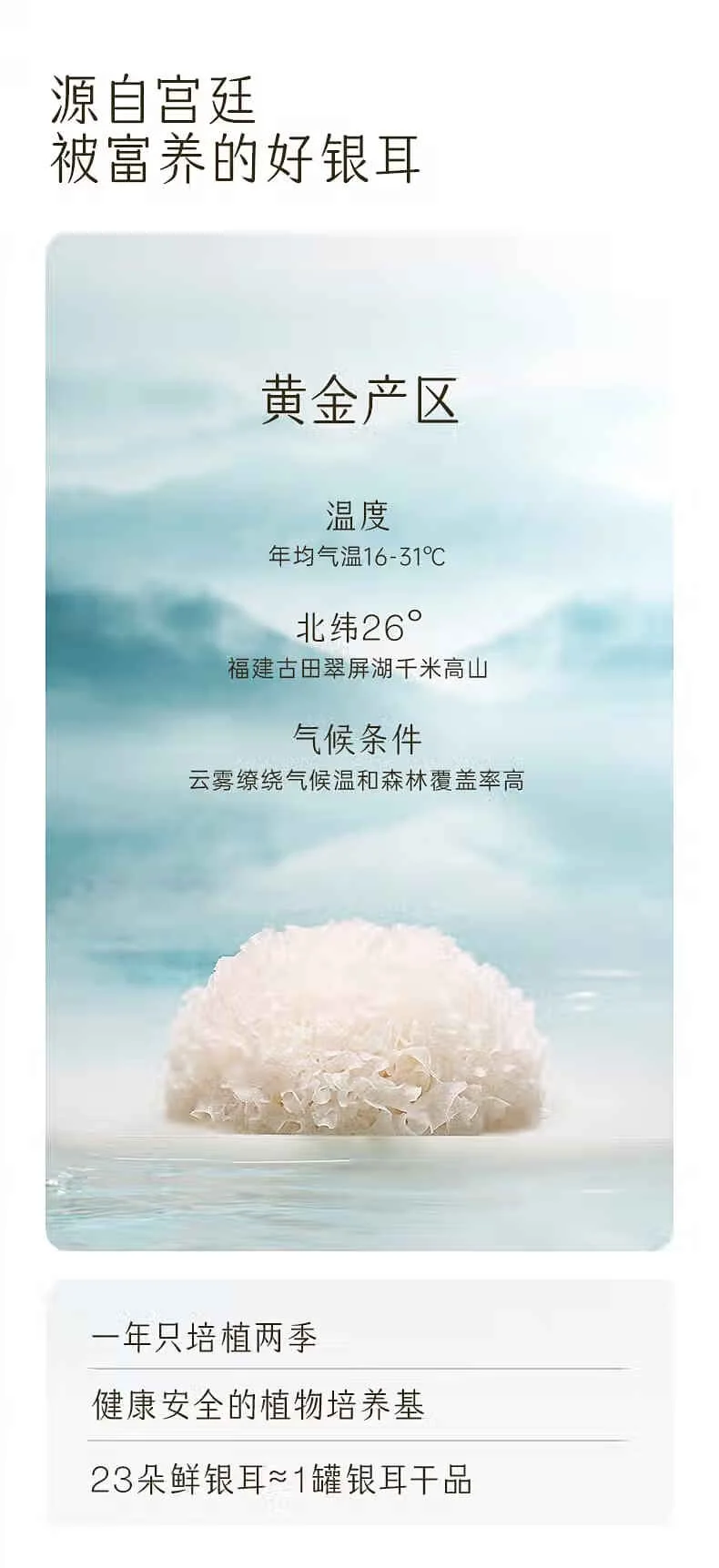 【中国直邮，时效5-12天】金燕耳 金萃高山生态有机银耳 60g 单罐装 南北干货银耳羹 C01601- 冲泡即食 detail image 12