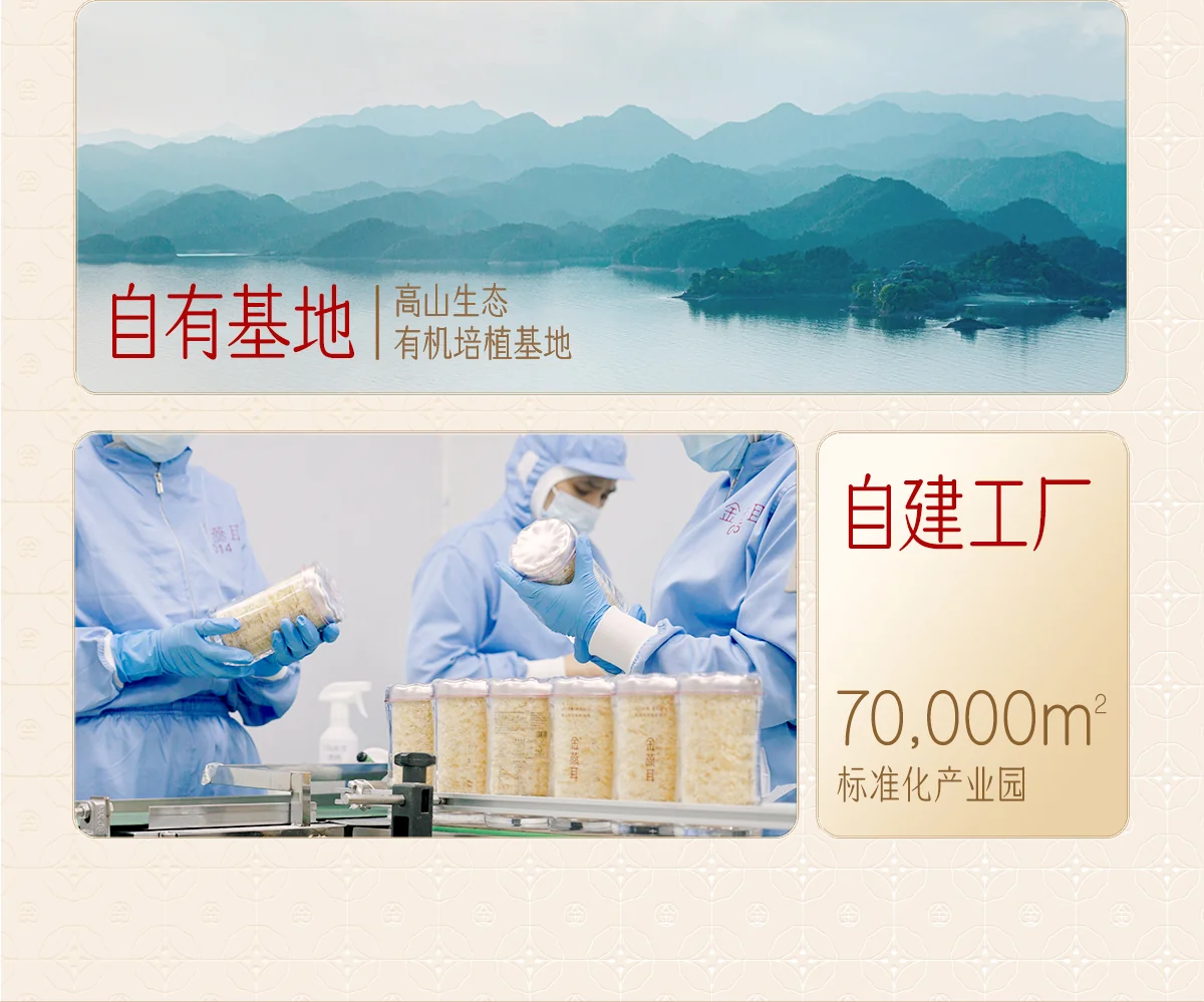 KING TREMELLR, high-altitude ecological organic white fungus, red date and longan gift box, dried white fungus soup, a perfect Mother's Day gift for elders or others. detail image 15