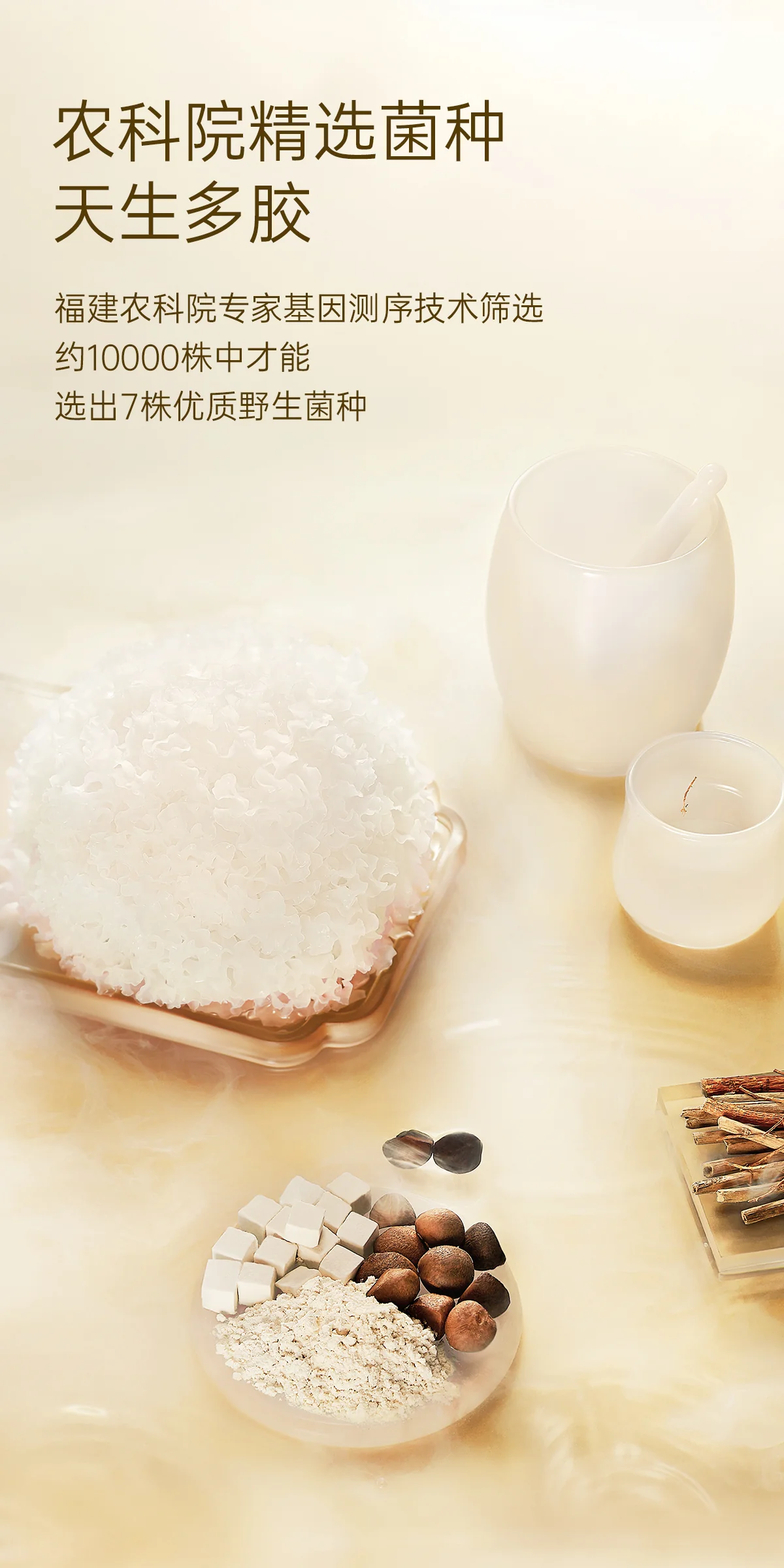 【赠品，不单独销售】金燕耳高山生态有机银耳金萃40g(20袋*2g）一盒 detail image 7
