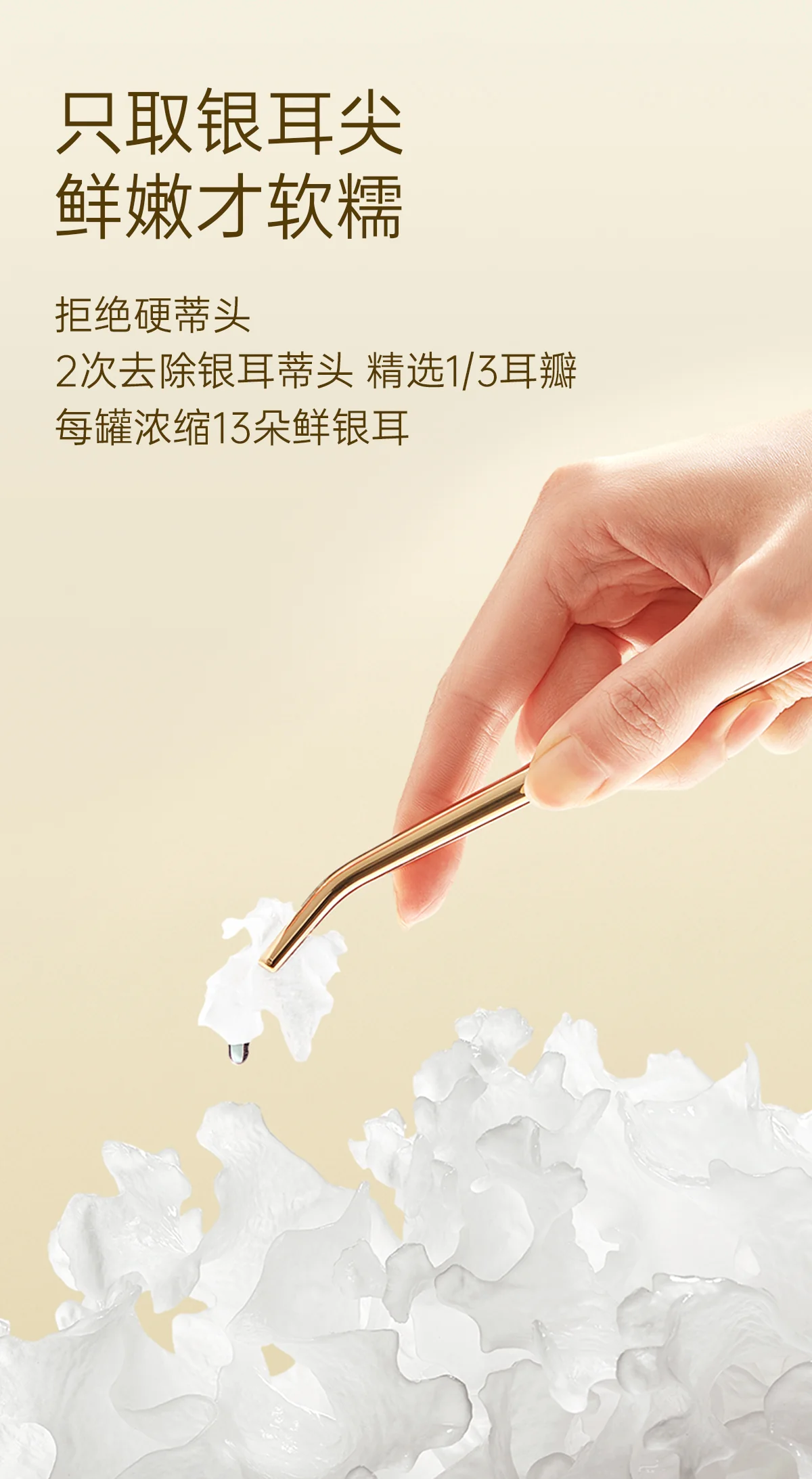 【赠品，不单独销售】金燕耳高山生态有机银耳金萃40g(20袋*2g）一盒 detail image 9