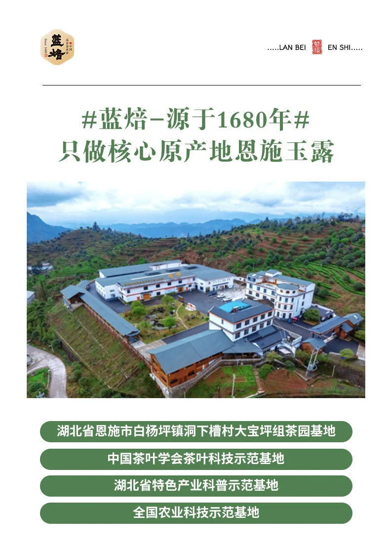 【中国直邮，时效7-15天】蓝焙 2026年新茶 绿茶1938条盒恩施玉露茶叶明前特级120g 小泡袋装自饮送礼 详情图 11