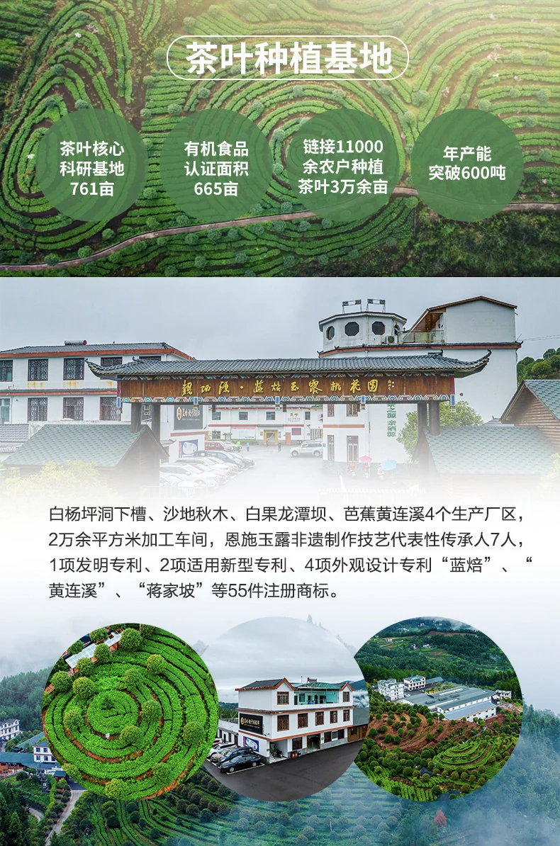 【中国直邮，时效7-15天】蓝焙 2026年新茶 绿茶1938条盒恩施玉露茶叶明前特级120g 小泡袋装自饮送礼 详情图 12