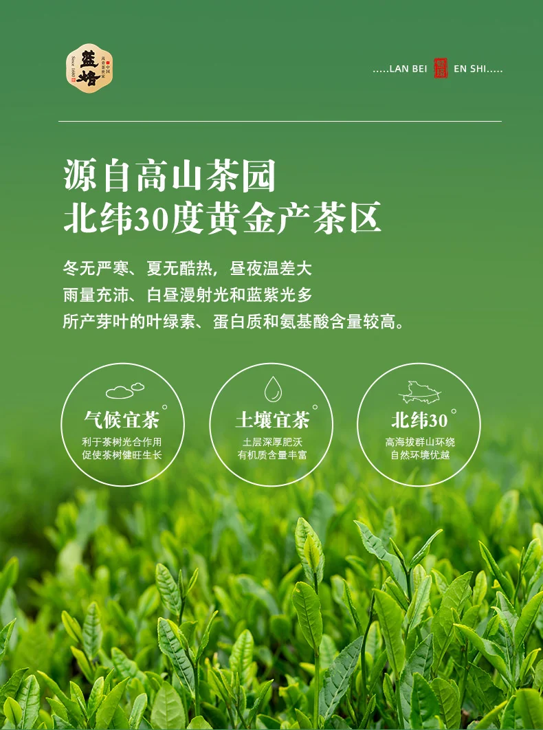 【中国直邮，时效7-15天】蓝焙 2026年新茶 绿茶1938条盒恩施玉露茶叶明前特级120g 小泡袋装自饮送礼 详情图 13