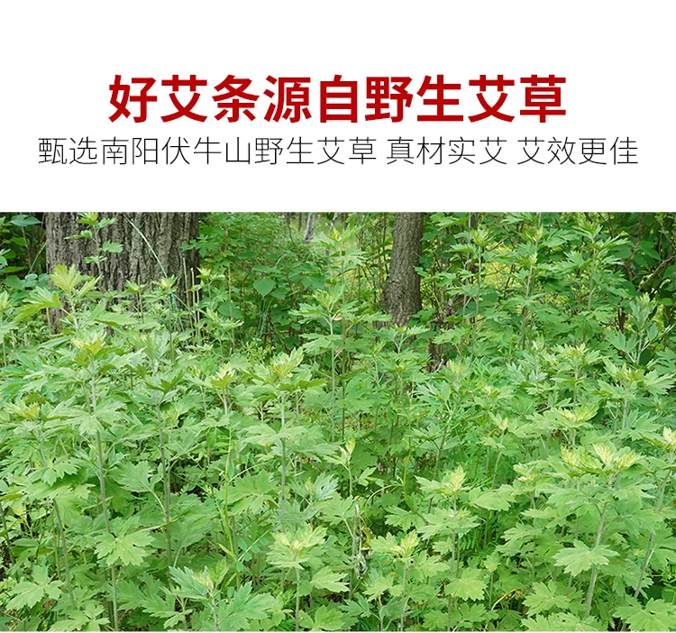 【China Direct Shipping, 10-15 days】Herb Langzhong 4cm Thunder Fire Moxibustion Moxa Sticks 6pcs + Wooden Moxibustion Box lhj02 Larger Moxibustion Surface, Stronger Moxibustion Feeling detail image 7