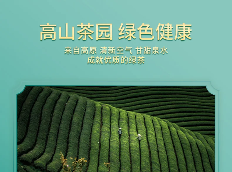 【中国直邮，时效5-12天】龍潭（LONG TAN）百年龙潭信阳毛尖雨前一级头采正宗原产雅240克礼盒 detail image 5