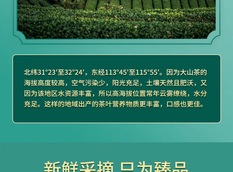 【中国直邮，时效5-12天】龍潭（LONG TAN）百年龙潭信阳毛尖雨前一级头采正宗原产雅240克礼盒 detail image 6