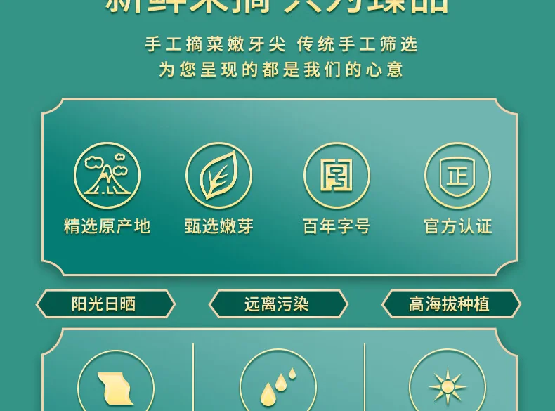 【中国直邮，时效5-12天】龍潭（LONG TAN）百年龙潭信阳毛尖雨前一级头采正宗原产雅240克礼盒 detail image 7