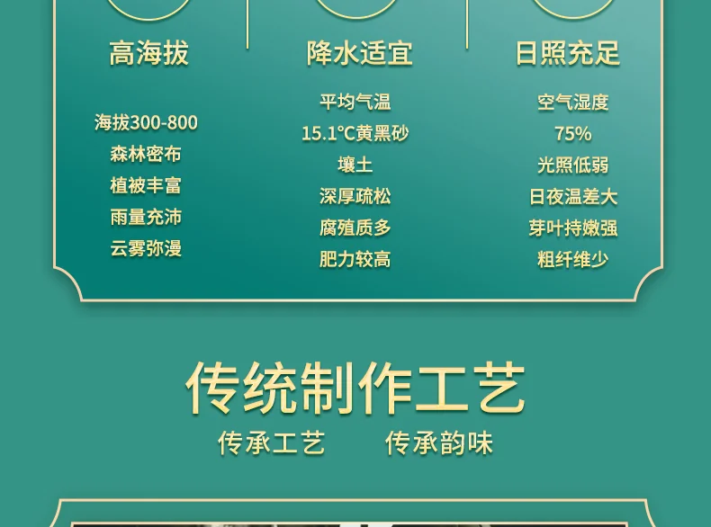 【中国直邮，时效5-12天】龍潭（LONG TAN）百年龙潭信阳毛尖雨前一级头采正宗原产雅240克礼盒 detail image 8