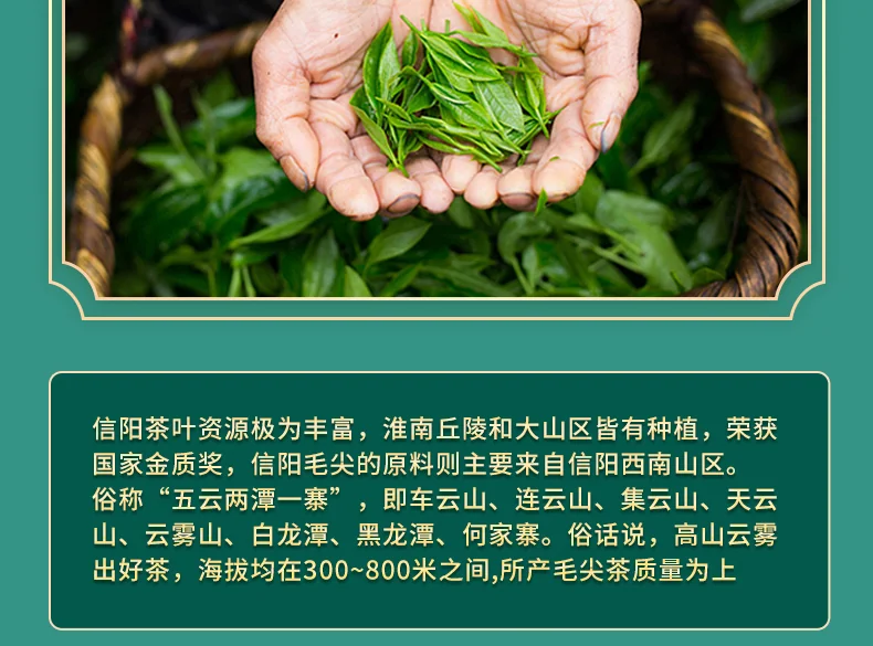 【中国直邮，时效5-12天】龍潭（LONG TAN）百年龙潭信阳毛尖雨前一级头采正宗原产雅240克礼盒 detail image 11