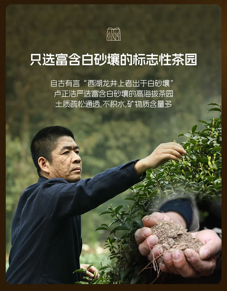 【下架】卢正浩绿茶狮字西湖龙井茶特级50g 2024新茶上市明前茶叶狮峰山罐装春茶 detail image 7