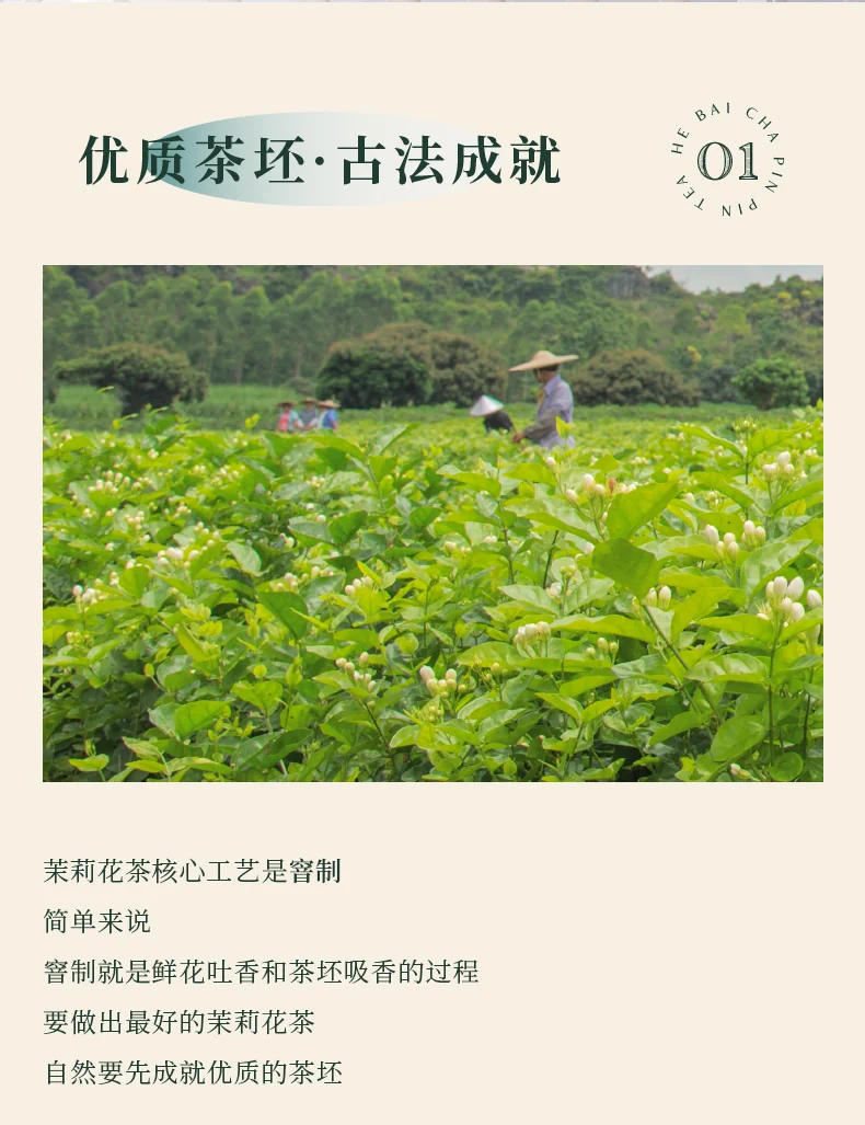 品品香 茶叶 特种烘青茉莉花茶 香朵朵茉莉雪龙 茶叶礼盒节日送礼280克 detail image 5
