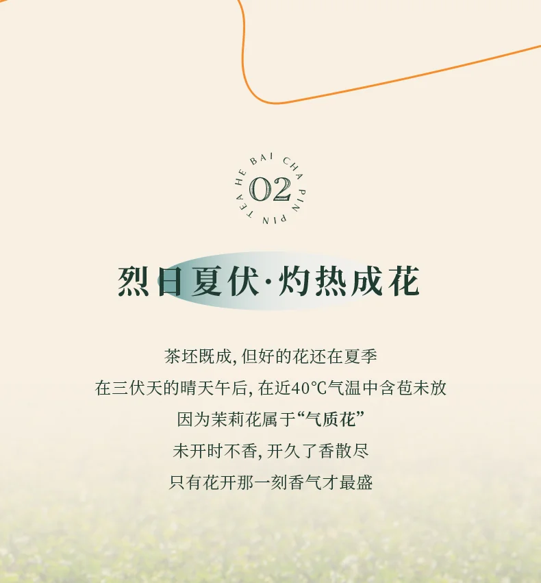 品品香 茶叶 特种烘青茉莉花茶 香朵朵茉莉雪龙 茶叶礼盒节日送礼280克 detail image 7