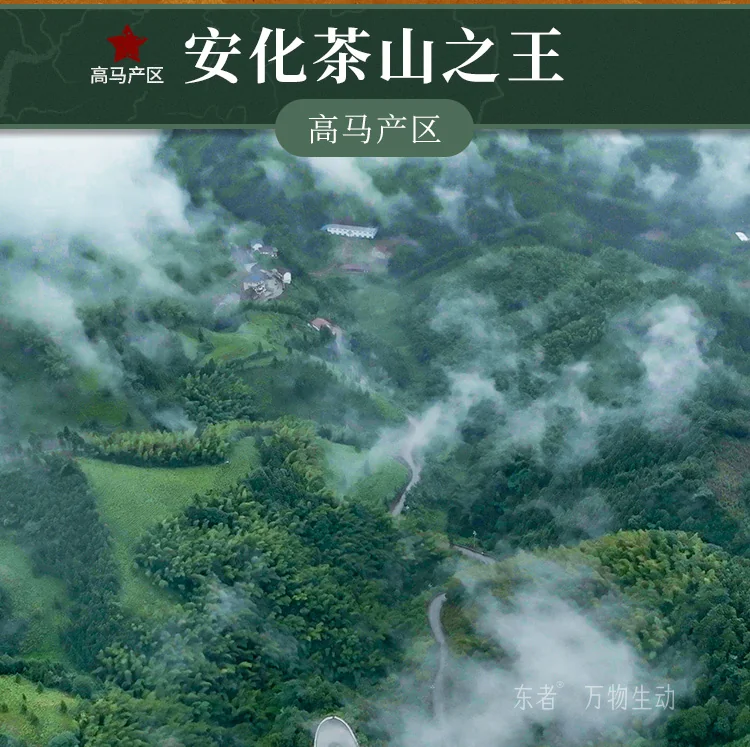 Dragonfly Tea Fields,Gaoma Cangjuan,Imperial Tribute Tea,Thousand-Tael Tea Cake, 680g detail image 3