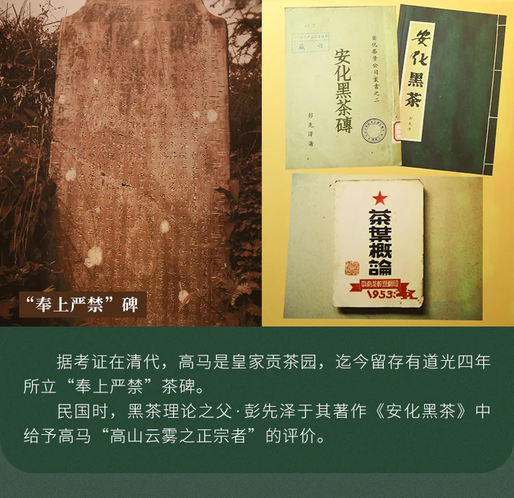Dragonfly Tea Fields,Gaoma Cangjuan,Imperial Tribute Tea,Thousand-Tael Tea Cake, 680g detail image 5