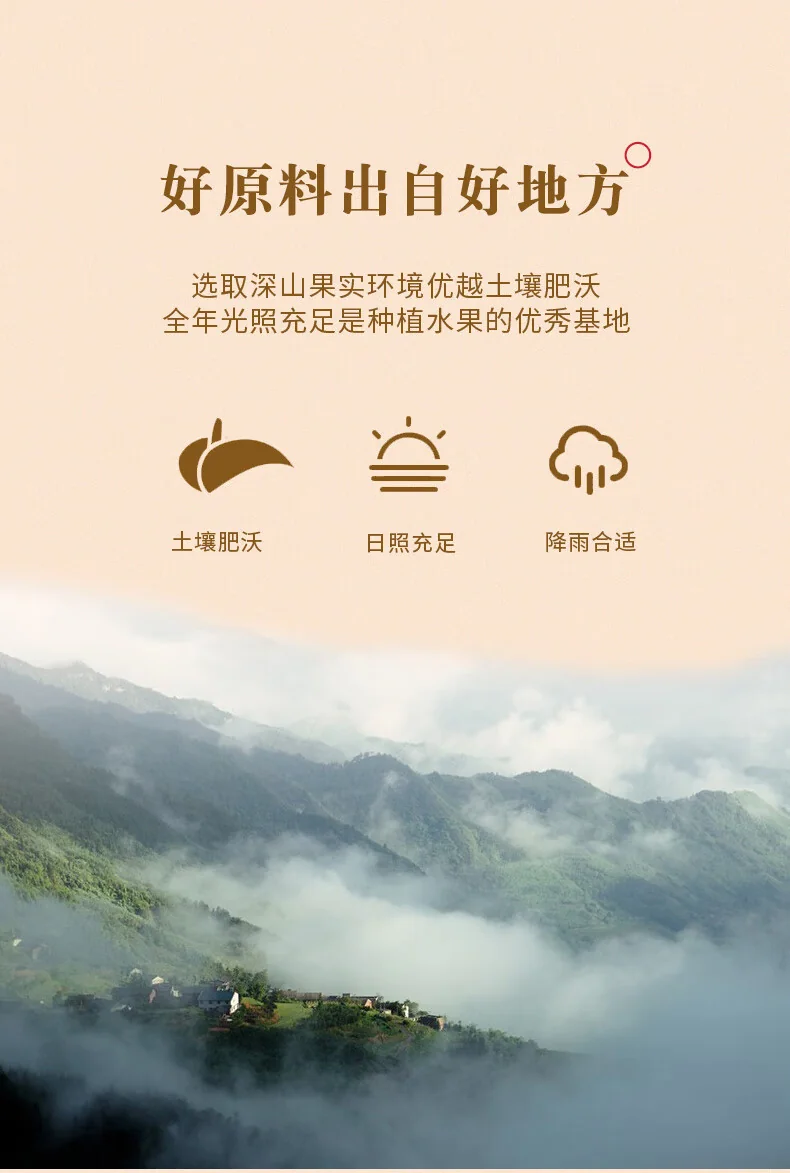 【中国直邮，时效10-15天】泉利堂陈皮梅条228g*2瓶无核梅子九制话梅条干梅子梅肉蜜饯果脯零食 泉利堂陈皮梅条228g/瓶 detail image 6