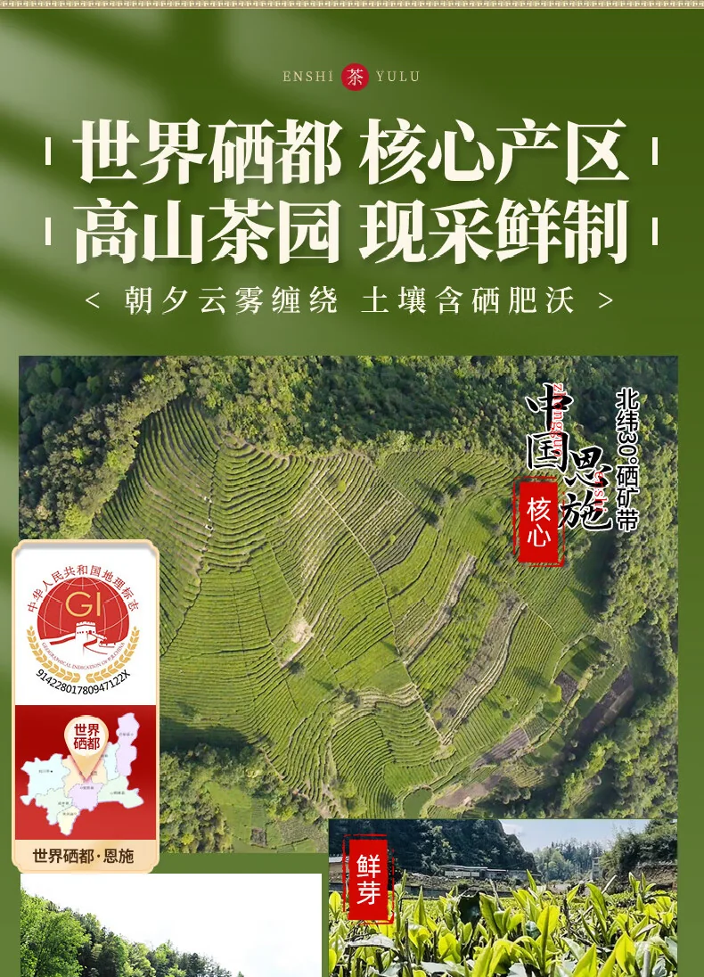 【中国直邮，时效7-15天】润邦茶业 2026年新茶 恩施玉露 明前一级蒸青绿茶金风条盒高性价比礼盒 120g 详情图 11