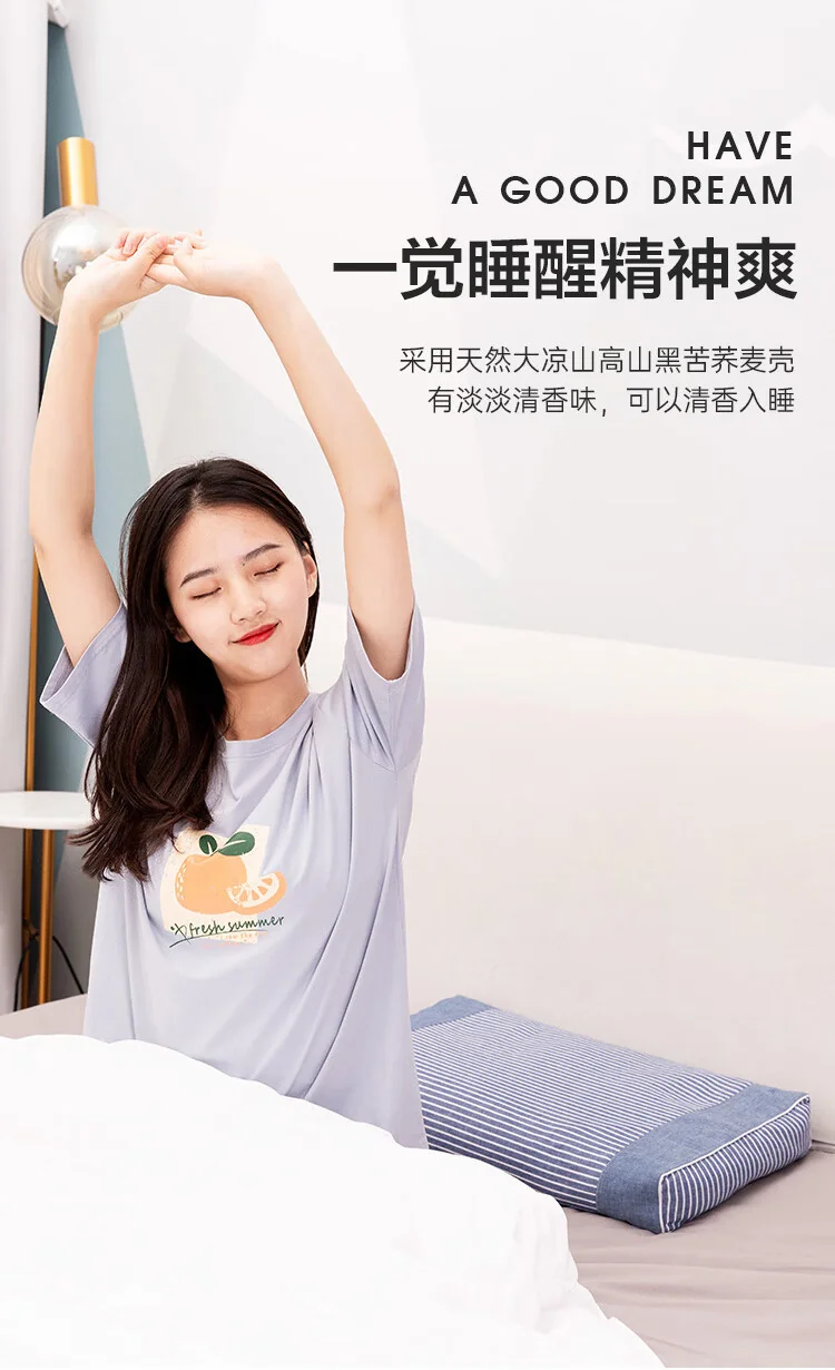 蜀国御 荞麦壳决明子枕头枕芯颈椎睡觉夏季专用硬枕头配水洗全棉枕套-2kg荞麦壳+1kg决明子 detail image 8