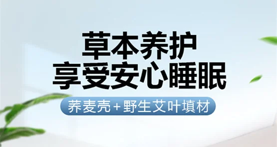 蜀国御 4.5斤装荞麦壳艾叶枕头贴合颈椎夏天舒适睡眠枕配棉枕套丨青草绿 detail image 1
