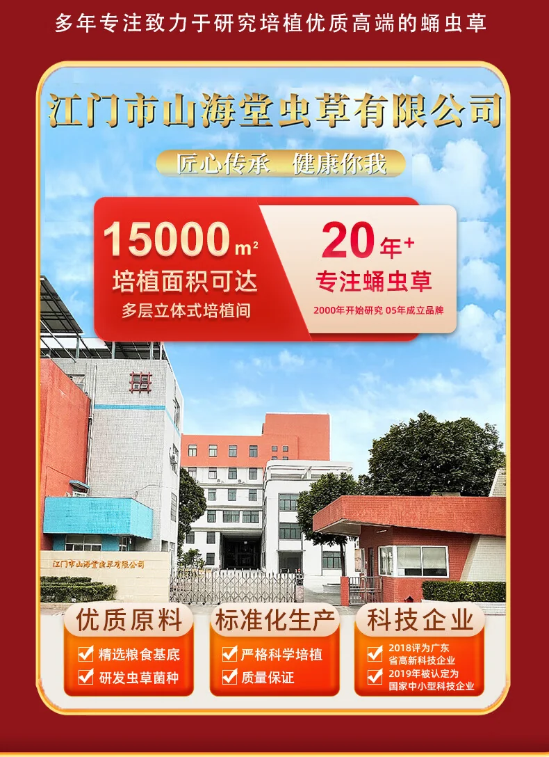 【中国直邮，时效7-15天】山海堂 有机蛹虫草金虫草花 干货菌菇?【家用】圆美 煲汤鲜甜250g 详情图 18