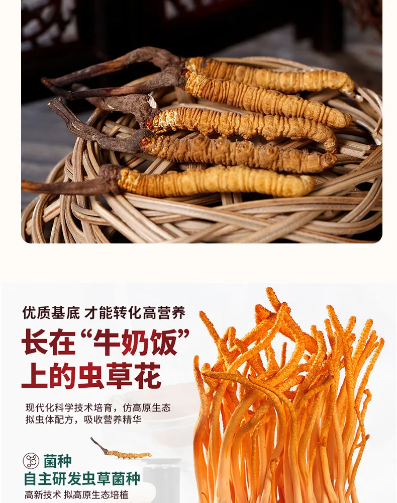 【中国直邮，时效7-15天】山海堂 有机蛹虫草金虫草花 干货菌菇?【家用】圆美 煲汤鲜甜250g 详情图 3