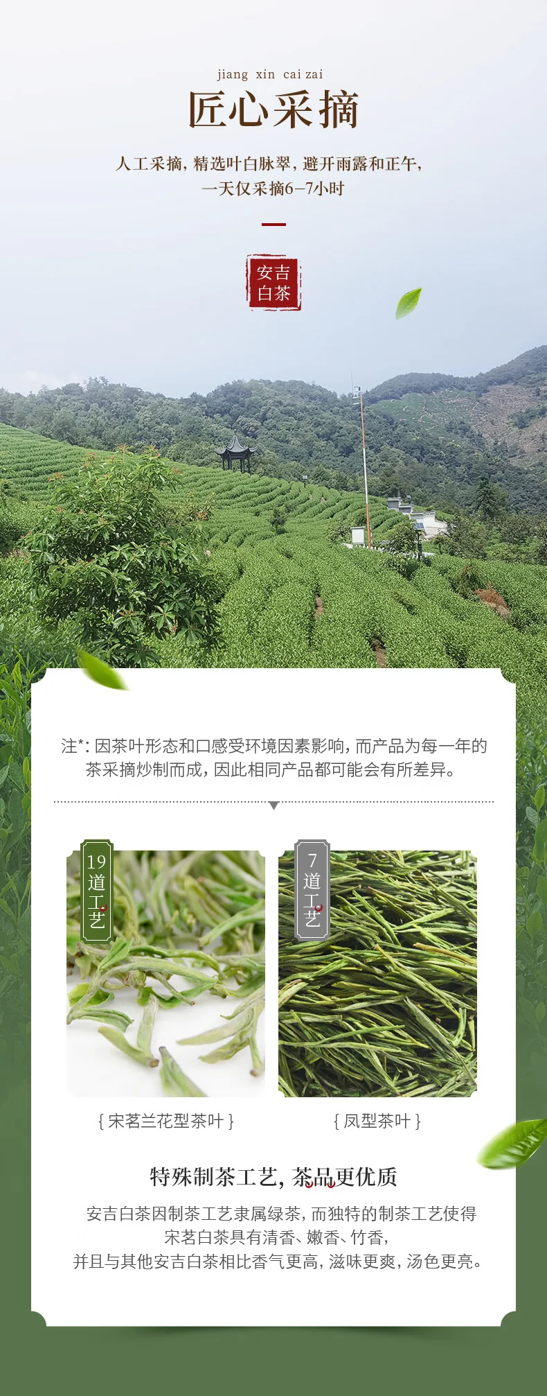 【中国直邮，时效7-15天】宋茗白茶 2026新茶绿茶 宋茗白茶75g明前特级正宗春茶珍稀绿茶竹韵金 详情图 5