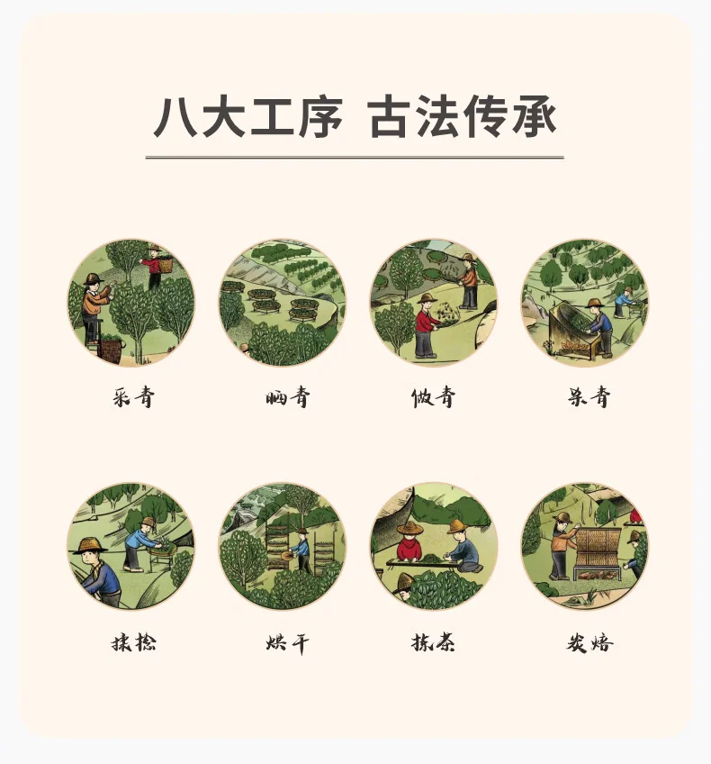天池 乌龙茶七彩乌岽凤凰单丛茶单枞蜜兰香特级 100g罐装 1392茶叶送礼 detail image 10