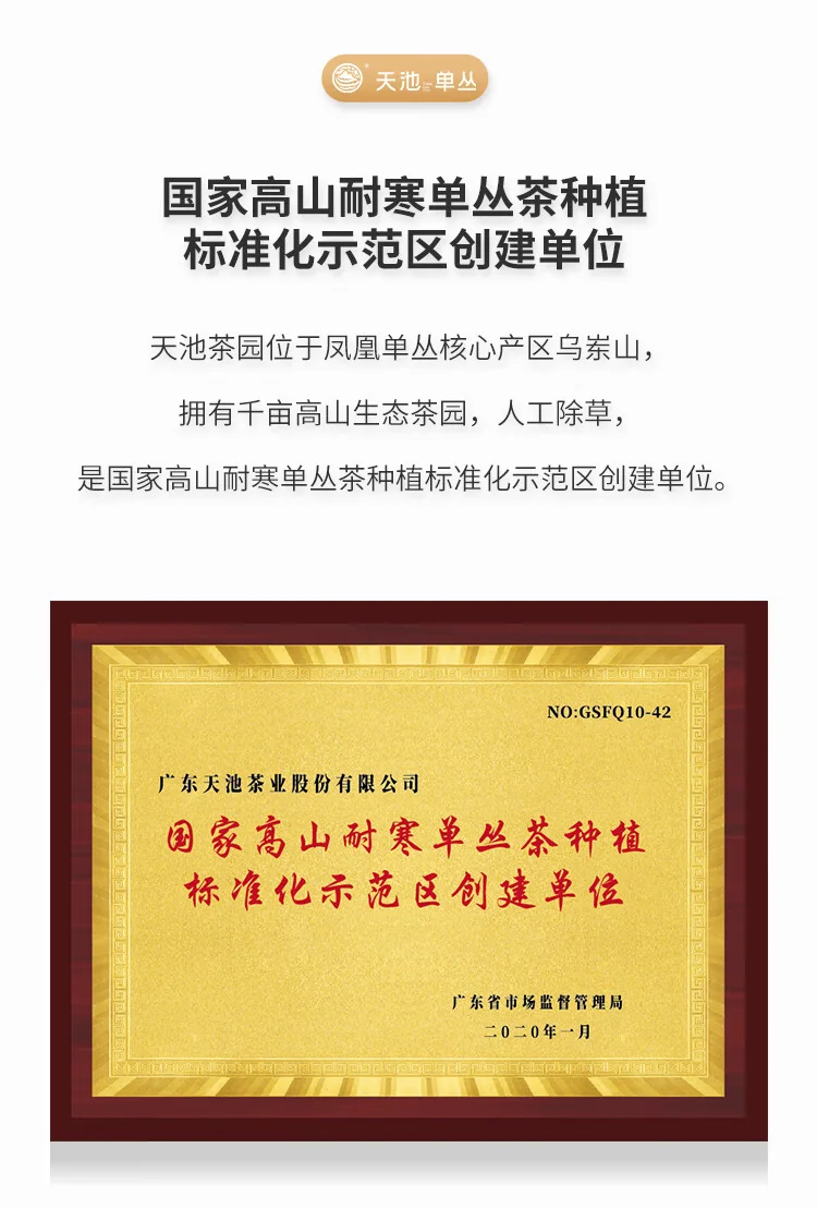 天池乌龙茶传承凤凰单丛茶单枞蜜兰香 一级125g罐装茶叶送礼 detail image 10