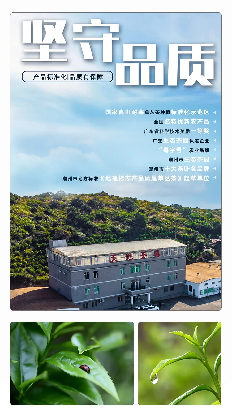 天池乌龙茶传承凤凰单丛茶单枞蜜兰香 一级125g罐装茶叶送礼 detail image 11