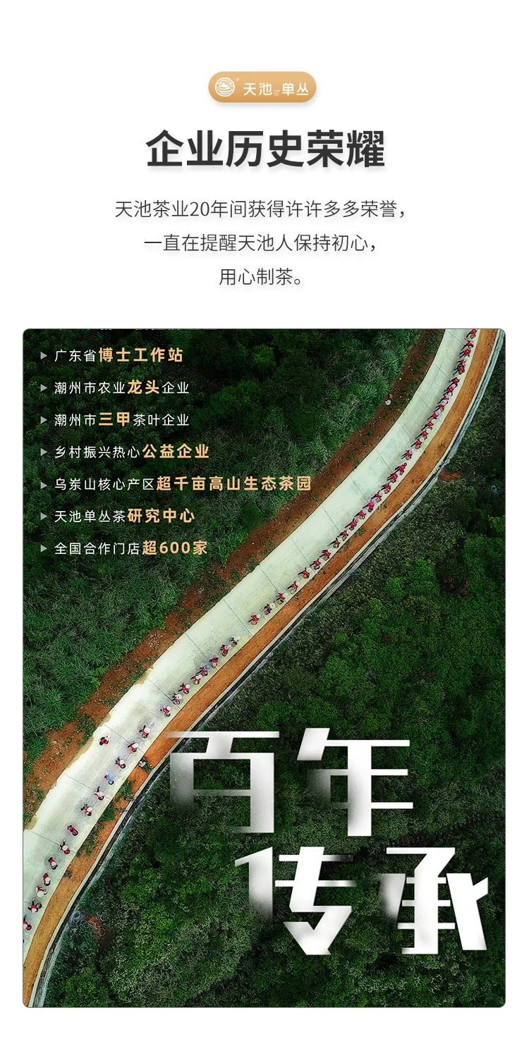 天池乌龙茶传承凤凰单丛茶单枞蜜兰香 一级125g罐装茶叶送礼 detail image 12