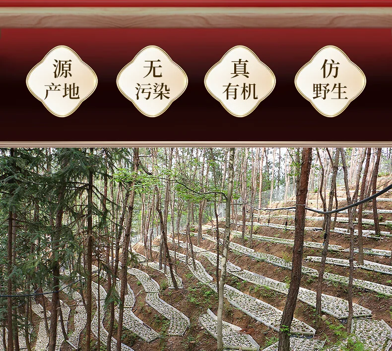 【中国直邮，时效10-15天】 天下泽雨 【送礼优选】安徽霍山石斛枫斗 3年生铁皮石斛 胶质丰富 送礼礼盒20g/50g detail image 2