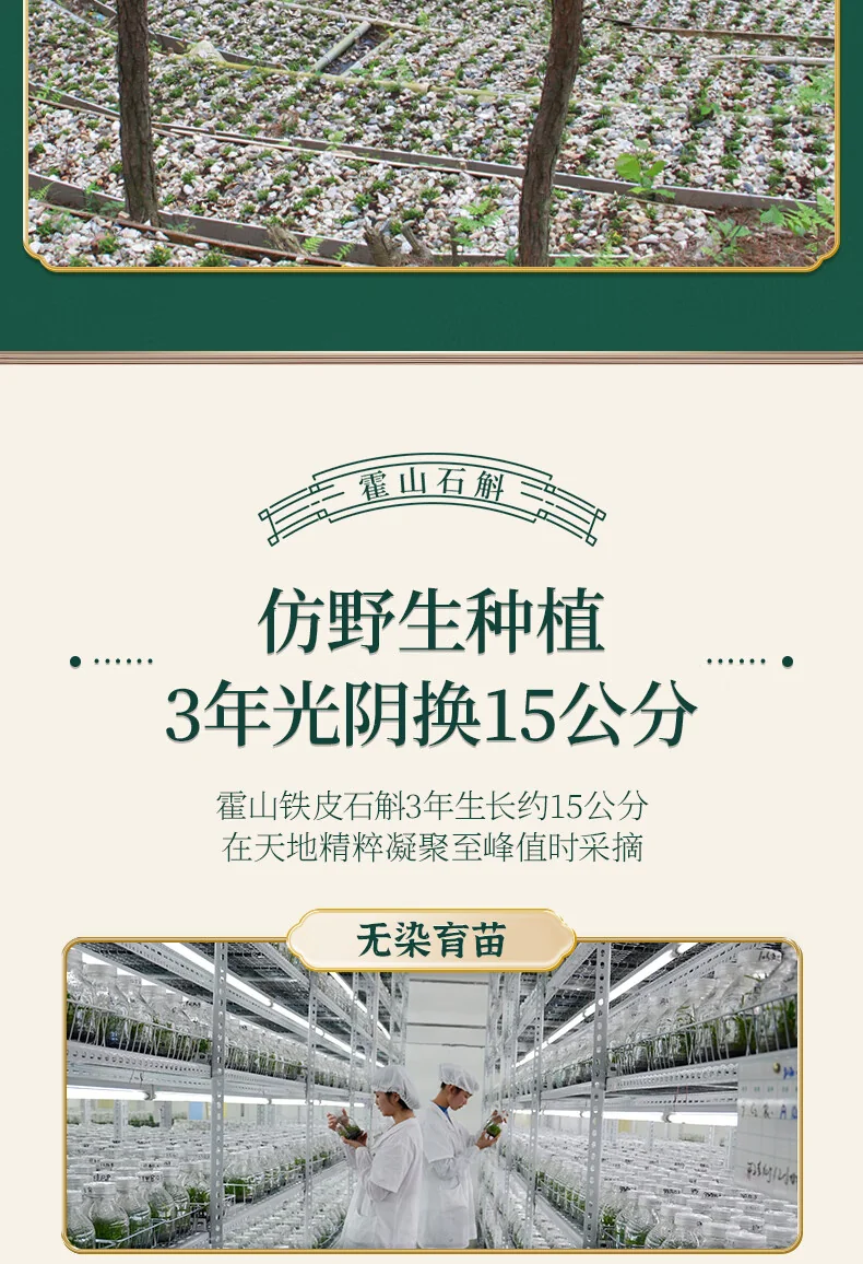 【中国直邮，时效10-15天】 天下泽雨 【送礼优选】安徽霍山石斛枫斗 3年生铁皮石斛 胶质丰富 送礼礼盒20g/50g detail image 4