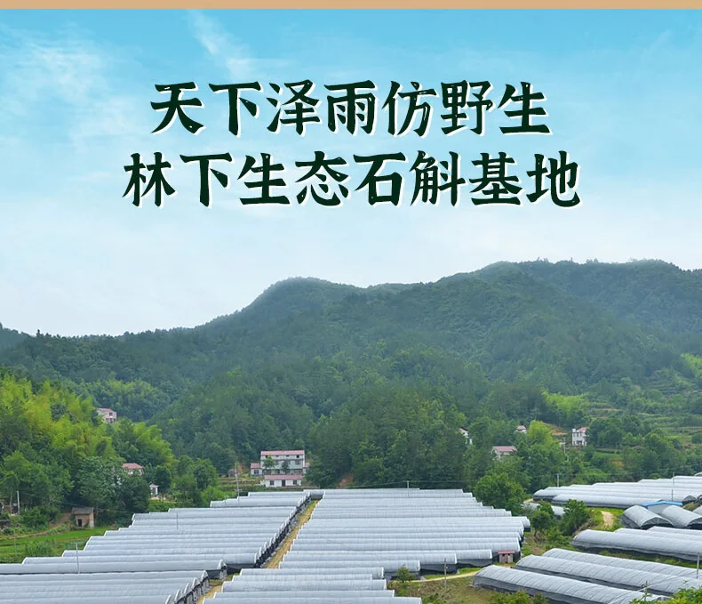 【中国直邮，时效10-15天】 天下泽雨 【送礼优选】安徽霍山石斛枫斗 3年生铁皮石斛 胶质丰富 送礼礼盒20g/50g detail image 6