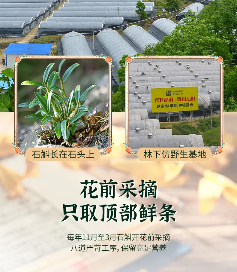 【中国直邮，时效10-15天】 天下泽雨 【送礼优选】安徽霍山石斛枫斗 3年生铁皮石斛 胶质丰富 送礼礼盒20g/50g detail image 7