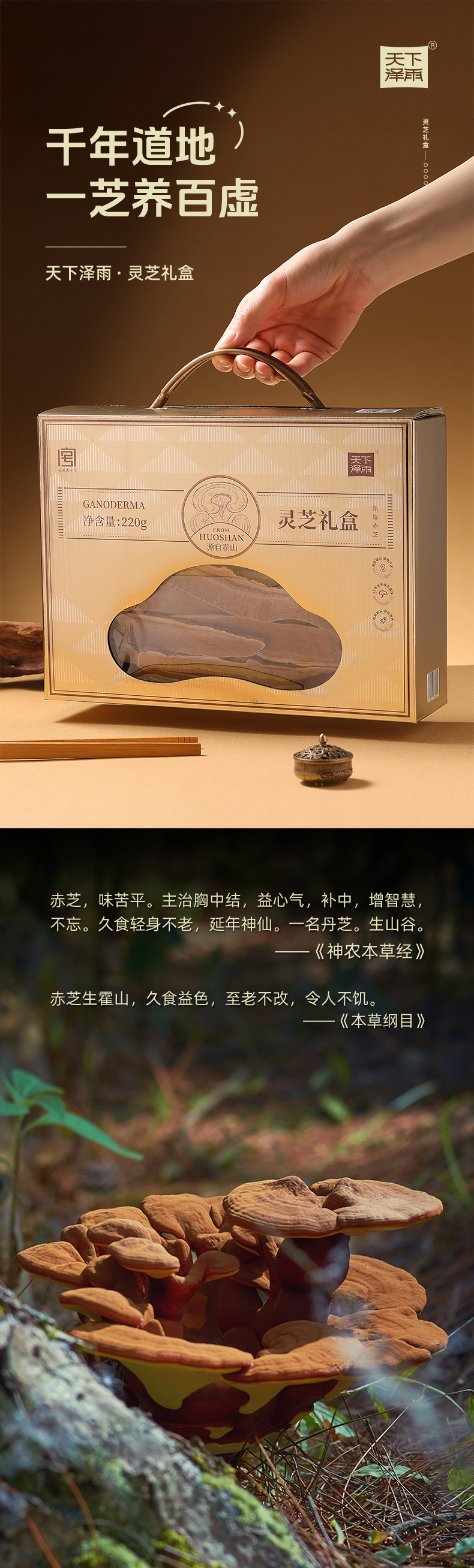 天下泽雨道地产区霍山赤灵芝片赤芝菌株